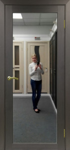 Дверь нестандартная межкомнатная с зеркалом