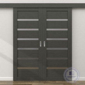 Раздвижная двухстворчатая межкомнатная дверь-купе