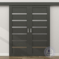 Раздвижная двухстворчатая межкомнатная дверь-купе