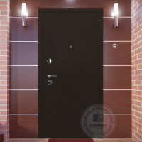 Входная дверь Троя - 22
